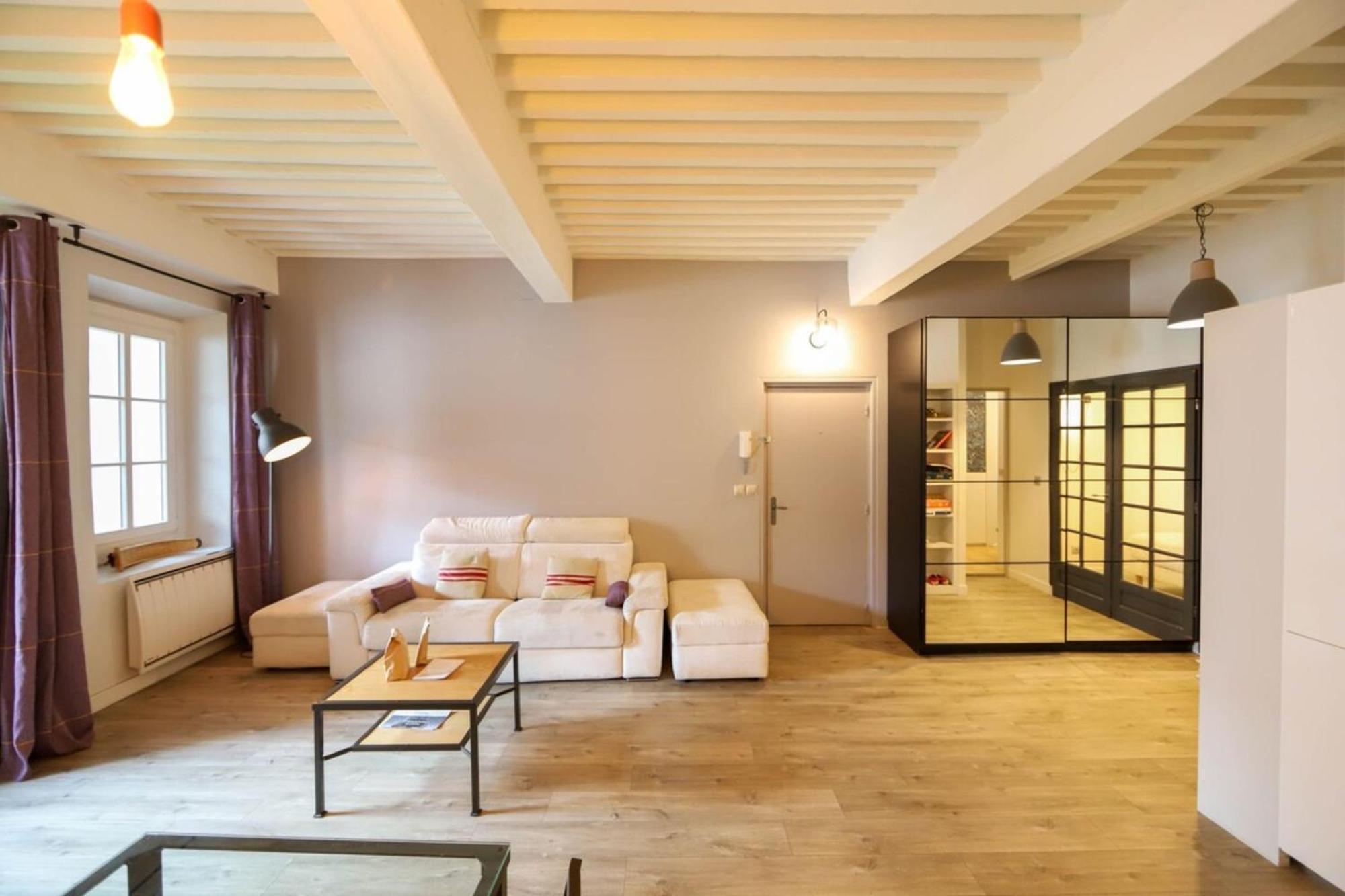 55 M2 Apart With Big Terrace In Annecy Downtown Εξωτερικό φωτογραφία